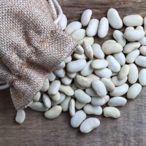 High Quality Organic White Kidney Beans