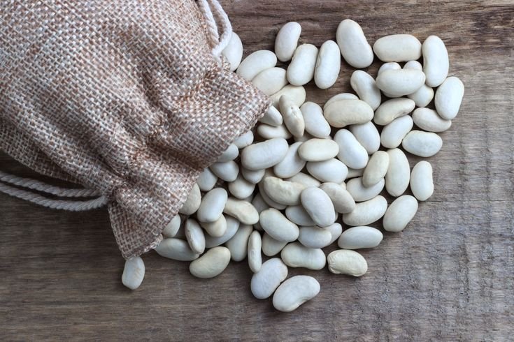 High Quality Organic White Kidney Beans