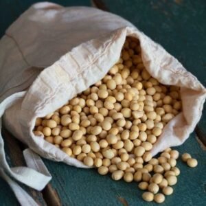 Top Quality USA Organic Non-Gmo Soybean Seeds