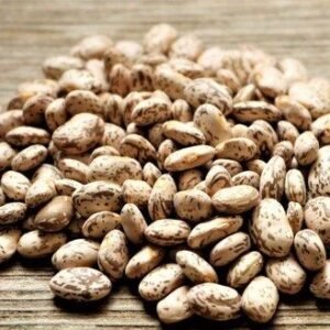 Wholesale Dried Organic Pinto Beans