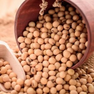Wholesale USA Organic Non-GMO Yellow Soybean Seeds